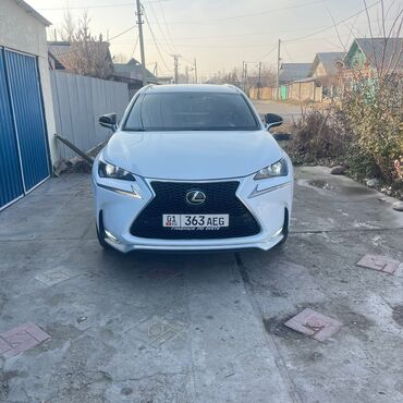 Lexus: Lexus NX: 2017 г., Кроссовер — 2