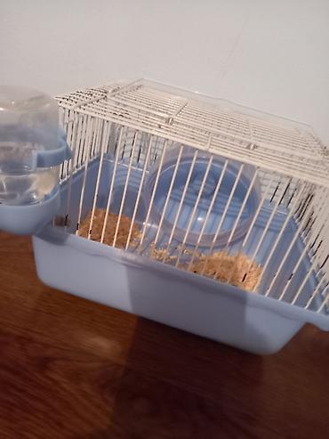 Животные: Siçan/hamster qəfəsi – mavi plastik altlıq və ağ metal barmaqlıqlar - — 1