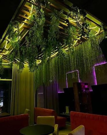 zeleniy cay: Green House Azerbaijan. Dekor interyer Kafe×restoranlar üçün — 8