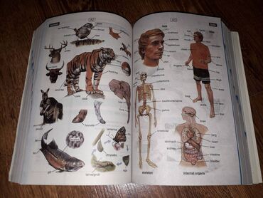 Bədii ədəbiyyat: İngilis dilində yeni kitablar !!! Qiymətlər 3 azn-dən başlayır — 14