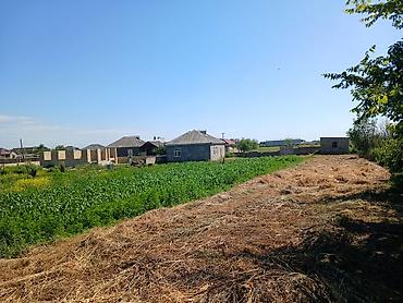 Həyət evləri və villaların satışı: Satış üçün həyətyanı sahə və ev - Geniş, hasarlanmış torpaq sahəsi — 8