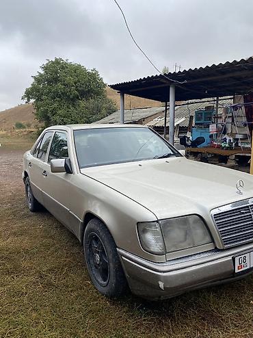 Mercedes-Benz W124: 1995 г., 2.2 л, Механика, Бензин