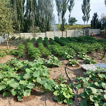 Продажа коттеджей и домов: 🏡Продаётся дом с участком в живописном селе Кара-Ой, на побережье — 19