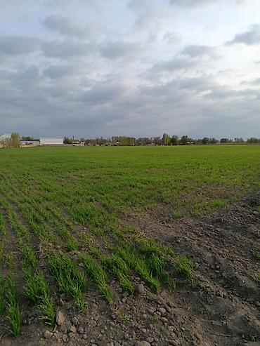 ошском рынке: 250 соток, Для сельского хозяйства — 3