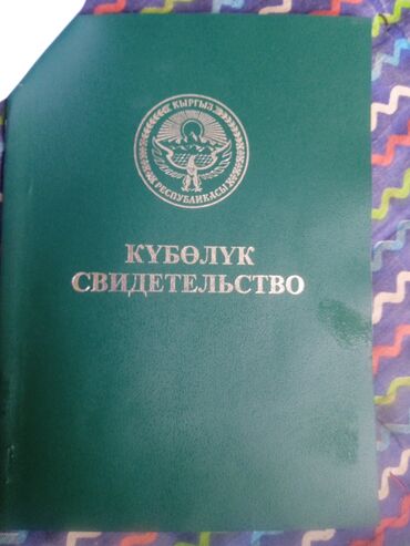 я ищу дом рабочий городок: 25 соток, Для сельского хозяйства, Красная книга