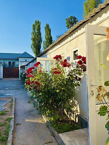 Бөлмөлөр: 🏡 гостевой дом МАДАГАСКАР в Чолпон-Ате! Сдаю простые, чистые и — 10