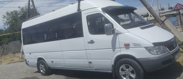 кузов спринтер: Mercedes-Benz Sprinter: 2001 г., 2.9 л, Механика, Дизель, Бус