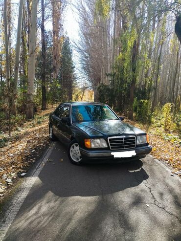 Mercedes-Benz: Mercedes-Benz W124: 1993 г., 2.2 л, Механика, Бензин, Седан