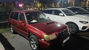 субаро: Subaru Forester: 2001 г., 2 л, Автомат, Бензин, Кроссовер — 2