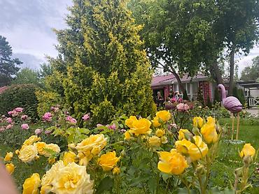 Иссык-Куль 2026: Коттедж, Сдается коттедж от собственника по хорошей цене !!! ЦО Радуга West, Кош-Кол, Детская площадка, Парковка, стоянка, Охраняемая территория — 20