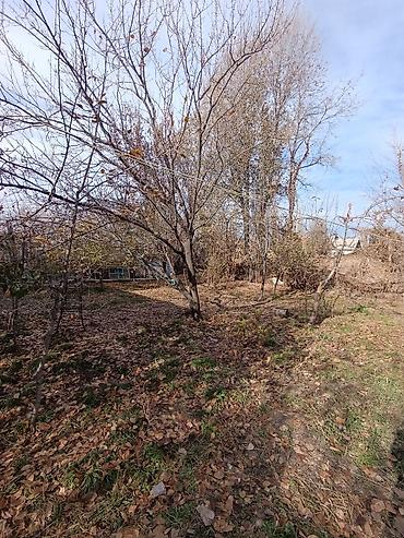 Продажа коттеджей и домов: 📌В селе Садовое недалеко от трассы продается дом на участке 51 сотка — 3