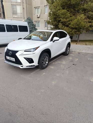 Lexus: Lexus NX: 2021 г., 2 л, Автомат, Бензин, Кроссовер