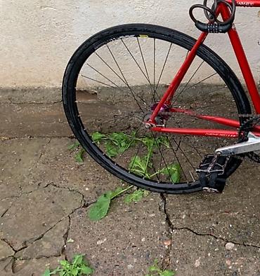 велосипеды trek: Продаю колеса оба 
Перед карбо лопаст зад мавик на полсо — 2