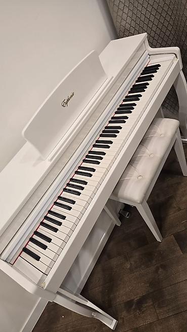 Musiqi alətləri: Euphonia rəqəmsal piano – ağ rəngli salon tipli korpus və klassik — 2