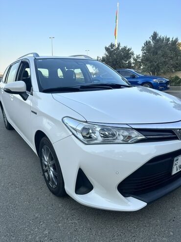 Toyota Corolla: 1.5 l | 2019 il Van/Minivan