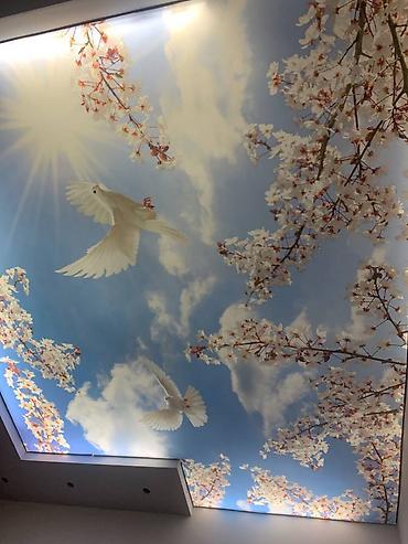 Натяжной потолок: Натяжной потолок 3D потолки, Матовое, Глянцевое Демонтаж, Монтаж, Бесплатный замер — 14