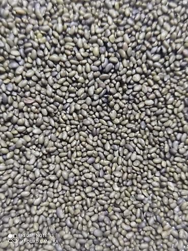 Другие зерновые культуры: Бедэ урук сатылат,Жогорку сорт,тап — 10