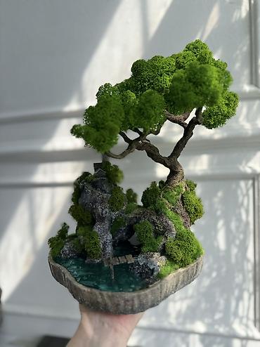 Декоративные цветы: Деревья-бонсай из натурального стабилизированного мха🌳 -это — 68