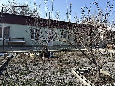 Продажа дач: Продаю дом с красной книгой и со всеми документами придомовой — 19