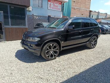 BMW: BMW X5: 2005 г., 3 л, Автомат, Дизель, Внедорожник
