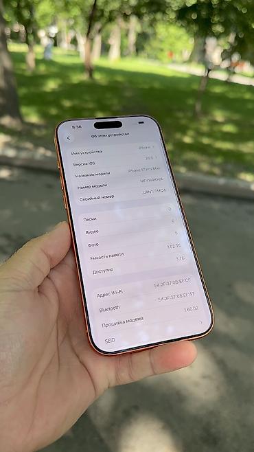 Apple iPhone: IPhone 17 Pro Max, Б/у, 1 ТБ, 100 % — 15