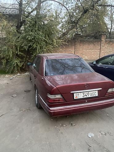 bmw i5: Mercedes-Benz W124: 1994 г., 2 л, Автомат, Бензин, Седан — 6
