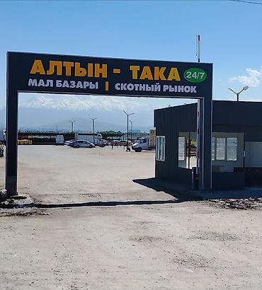 рынок тулпар: Продажа павильонов 15 м² — 2