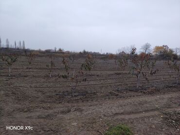 Torpaq sahələrinin satışı: Mülkiyyətçi — 2