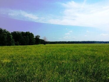 земельный участок в караколе: 30 соток, Бизнес үчүн, Кызыл китеп