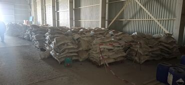 Digər gübrə: Məhsul: KARBAMİD (UREA) azot gübrəsi ve akumlyator ucun plastinka — 2