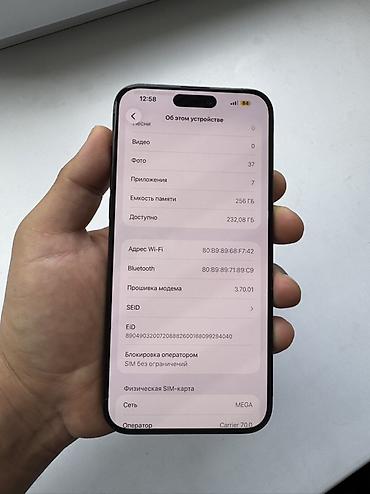 Мобильные телефоны и аксессуары: Срочно! 15 про Мах Black Titanium Память 256 Гб АКБ 91% Состояние — 9