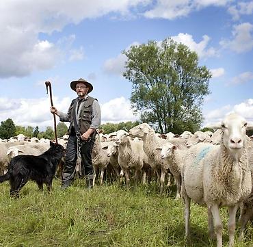 швейный работа: 🐑🔨 Требуется чабан-разнорабочий В хозяйство требуется — 2