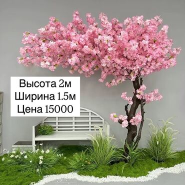 Декоративные цветы: Декоративное дерево сакуры с нежными розовыми цветами. Доступно