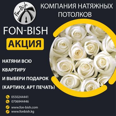 3d номера на авто бишкек в Кыргызстан: Натяжные потолки | Глянцевые, Матовые, 3D потолки | Гарантия, Бесплатная консультация, Бесплатный замер