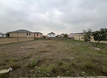 əmlak az xırdalan: 27 sot, Tikinti, Mülkiyyətçi, Kupça (Çıxarış) — 3