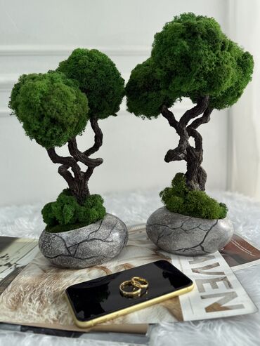 Декоративные цветы: В переводе с японского Бонсай означает «дерево, выращенное в блюде» at lalafo.kg — 63 Декоративные цветы: В переводе с японского Бонсай означает «дерево, выращенное в блюде» — 63