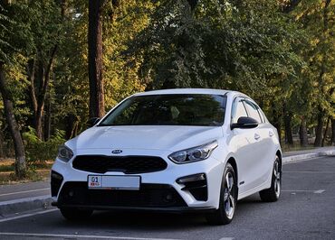 линзы для авто: Kia K3: 2019 г., 1.6 л, Автомат, Бензин, Седан