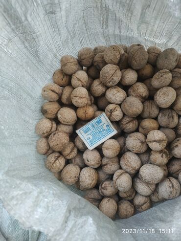орех жангак: Продаю грецкие орехи, сладкие, жирные. Урожай 2023г. Находится Рн