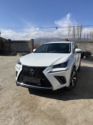 Lexus: Lexus NX: 2018 г., 2.5 л, Робот, Гибрид, Кроссовер