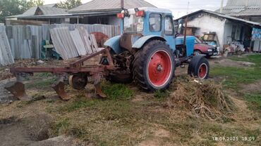 Тракторы МТЗ (Беларус): Продаю МТЗ 50 двигатель 80,Плуг, Бороон, в хорошем состоянии цена — 2