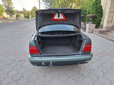 Mercedes-Benz: Mercedes-Benz : 1996 г., 4.2 л, Автомат, Газ, Седан — 10