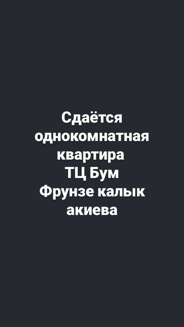 квартиры на час кок жар: 1 бөлмө, Менчик ээси, Чогуу жашоосу жок, Жарым -жартылай эмереги бар