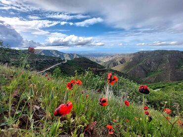 Bağ evlərinin satışı: Şəmkir, 100 kv. m, 3 otaqlı, Qaz, İşıq, Su -da lalafo.az — 12 Bağ evlərinin satışı: Şəmkir, 100 kv. m, 3 otaqlı, Qaz, İşıq, Su — 12