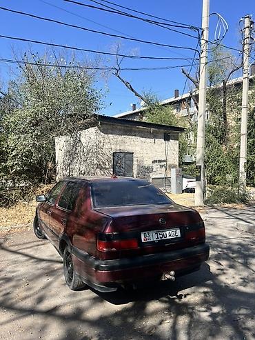 вента дизел: Volkswagen Vento: 1994 г., 1.8 л, Механика, Бензин, Седан — 3