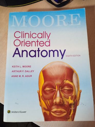 юсупова английский язык: Clinically Oriented Anatomy 8th edition Keith L. Moore Arthur F