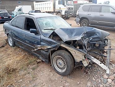 двери на е34: Все есть позвоните BMW E34 — разборка на запчасти Доступны элементы — 7