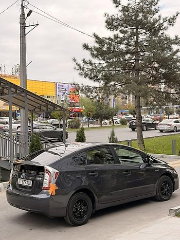 карола гибрид: Toyota Prius: 2013 г., Вариатор, Гибрид, Хэтчбэк — 6