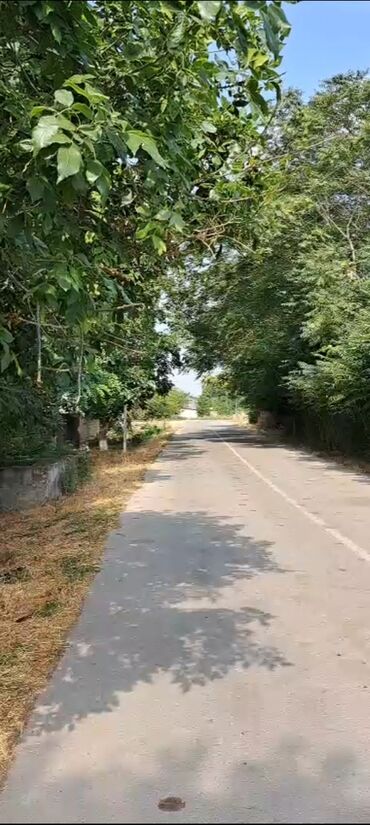 Torpaq sahələrinin satışı: 50 sot, Kənd təsərrüfatı — 1