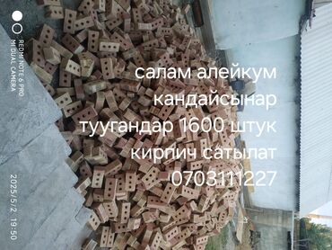 животные для дома: Өзү алып кетүү