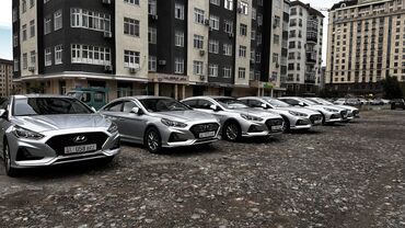 сколько стоит обучение на права в кыргызстане: Сдаю в аренду: Легковое авто, Под такси